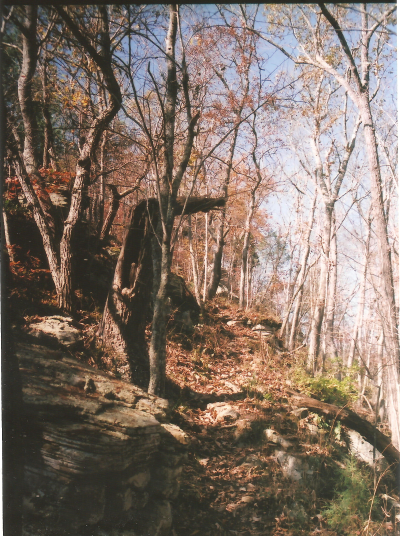 a winding mountain trail
